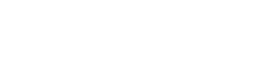 Camili & Capo, PA Attorneys at Law